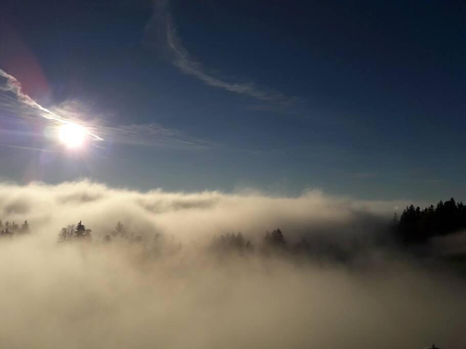 Grosszuegige Ferienwohnung Am Skigebiet Boedele Mit Rheintalblick Дорнбирн Экстерьер фото